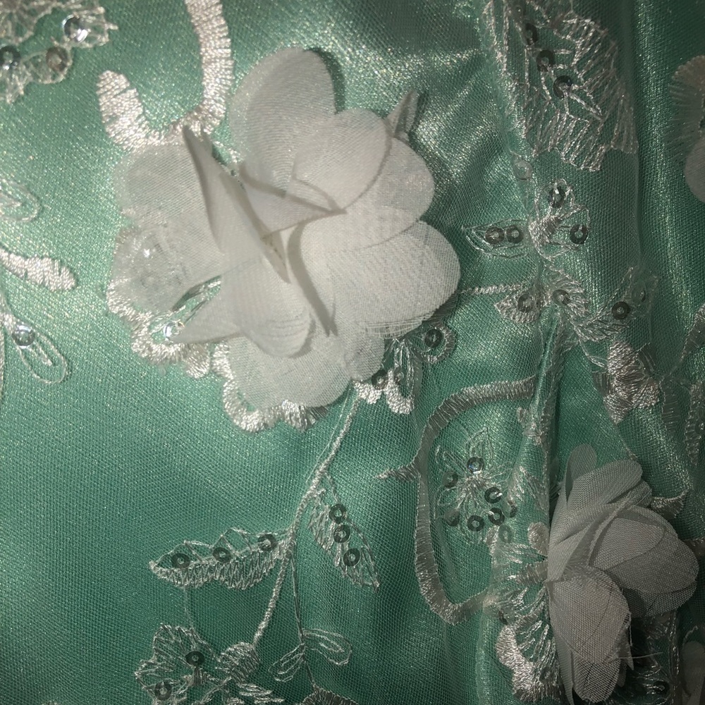 Pageant/Prom Dress - Picture 2 of 3